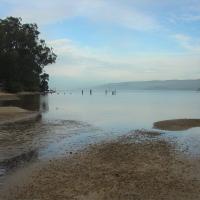 Johnstone Trail