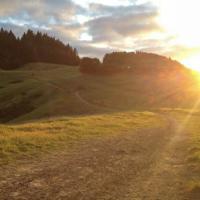 Hike to the Summit