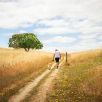 Deer Island Stroll