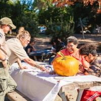Pumpkin Carving (San Rafael)