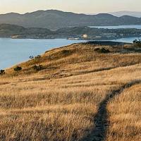 Nature Journaling Walk