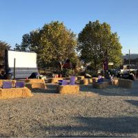 Movie Night at Point Reyes Park