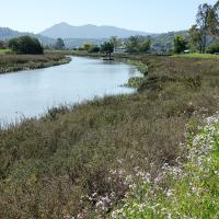 Coastal Cleanup at McInnis Park