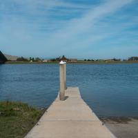 Coastal Cleanup at Black Point
