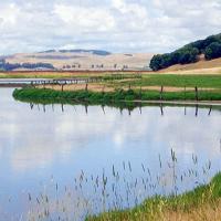 Rush Creek Birds