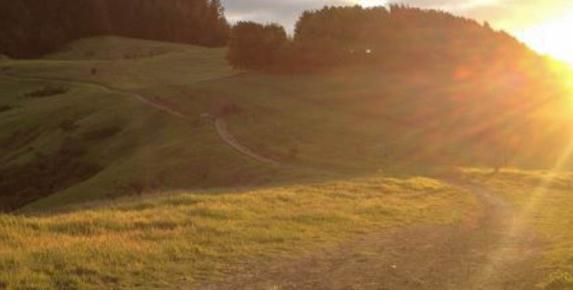 Hike to the Summit