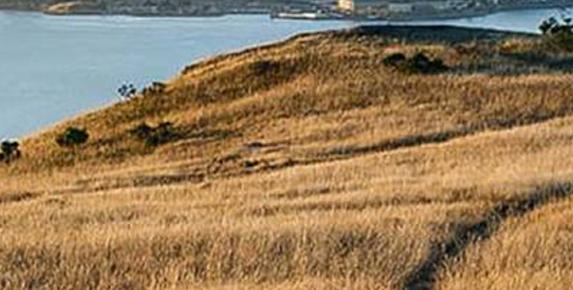 Nature Journaling Walk