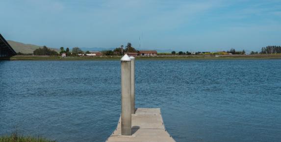Coastal Cleanup at Black Point