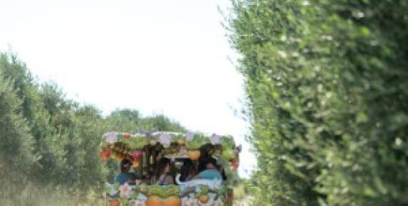 Ultimate Apple Trolley Experience at Gold Ridge Organic Farms