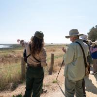 Senior Stroll: Hamilton Wetlands