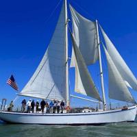 Veteran's Day Bay Sail on Brigantine Matthew Turner