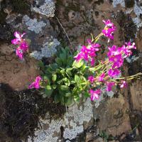 Senior Stroll: Coastal Trail