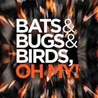 Bats & Bugs & Birds, Oh My!