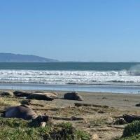 Visit Elephant Seals Drakes Beach