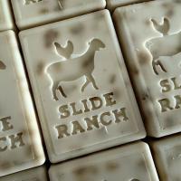Soap & Salve Workshop at Slide Ranch