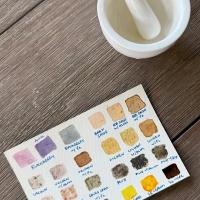 Foraging Hues: Creating Watercolor Paints from Nature at Slide R…
