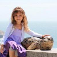Visit the Marine Mammal Center