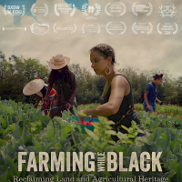 Celebrate Black History Month at the Rafael Theater