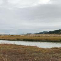 Landscape Stewardship