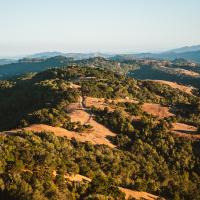 Nature Walk at Eagle Rock