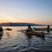 Bioluminescence Kayak Tour of Tomales Bay