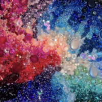 "Rising Stars" Exhibit at Bartolini Gallery Through Ma…