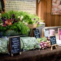 Flavors of Point Reyes Food & Farm Tour