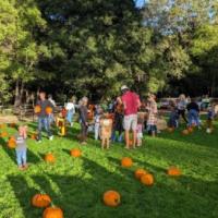 Halloween Harvest Fest at Marinwood Park