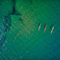 "Sick Day" Midweek Kayak Tours on Tomales Bay with Poi…