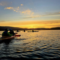 Guided Bioluminescent Night Kayak Tour on Tomales Bay with Sea T…