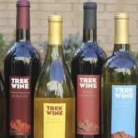 Novato Wine Tasting at Trek Winery