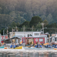 Sausalito Houseboat Kayak Tour with Sea Trek