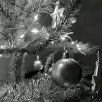 Marin Symphony Presents: Holiday Choral Concerts by Candlelight…