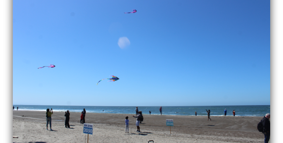 Picture of people flying kites at the beach from the Library's 2024 trip