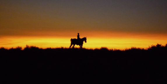 Movies @ the Marin: Reel Injun
