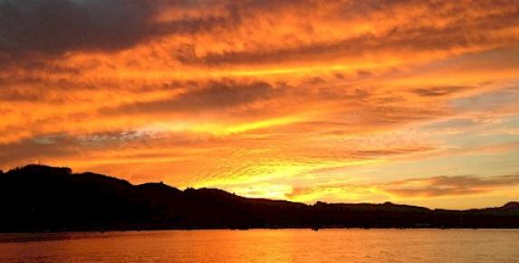 Sunset Cruise on San Francisco Bay with Angel Island Tiburon Fer…