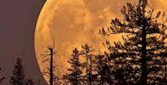 SuperMoon Evening at Slide Ranch