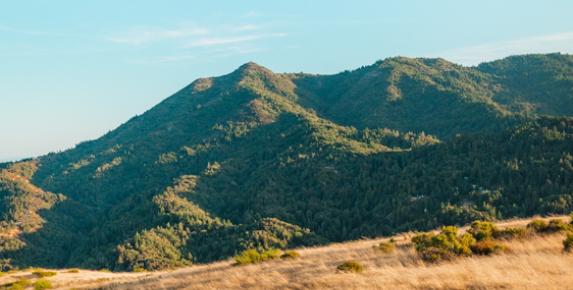 Earth Day at Bald Hill