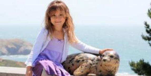 Visit the Marine Mammal Center