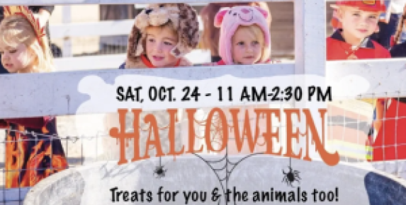 Halloween at Charlie's Acres