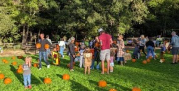 Halloween Harvest Fest at Marinwood Park