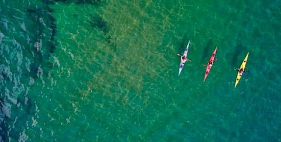 "Sick Day" Midweek Kayak Tours on Tomales Bay with Poi…