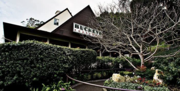 Thanksgiving Dinner at Buckeye Roadhouse