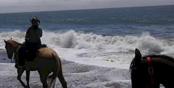 Wildcat Beach Guided Horseback Ride at Five Brooks Ranch